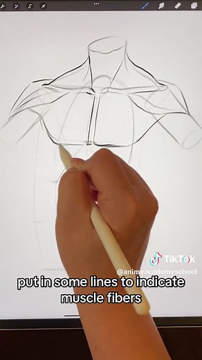 A lot of you asked for a male torso tutorial :D follow for more tips like this! #anime #drawanime #artistsoftiktok #artfyp #artist #artproblems #arttutorial #artiststruggles #fyp #anatomy #anatomylesson #animeguy #drawing #manga