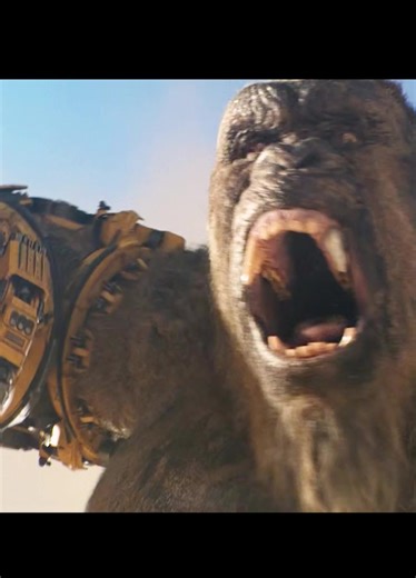 #fyp#movie#Film#fürdich#fürdichpage #tiktokgermany🇩🇪🇩🇪🇩🇪