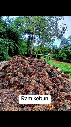 #ramkebun