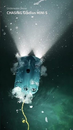 Turn ON Night Mode! But Under the Sea!