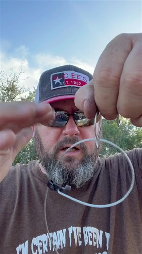 Snaring Coyotes: A Step-by-Step Guide