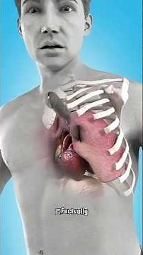 What To Do If You Puncture A Lung
