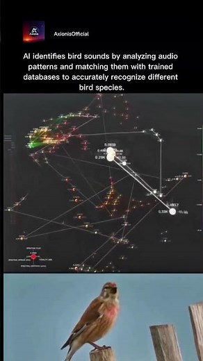 AI Decoding Animal Language: Are We Close to Talking?😱🤯