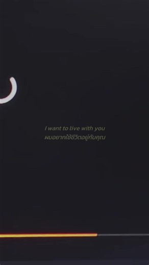 แปลเพลง Everyone Adores You — ความหมายเพลงและเนื้อแปลไทย