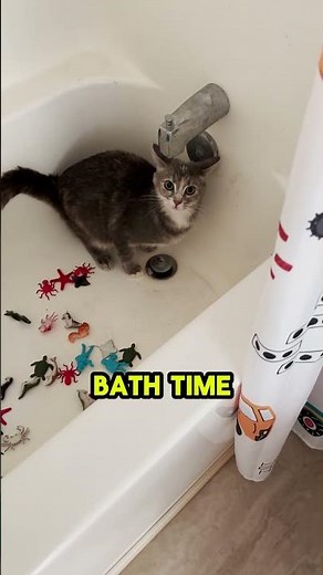 Why Is My Cat Obsessed With The Bathtub?