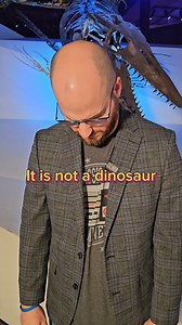 6.4K views · 162 reactions | It's sad, but true.... not every prehistoric creature is a dinosaur, and learning the difference could save your reputation. #science #paleontology #dinosaur #funny #ocean | Houston Museum of Natural Science | Facebook