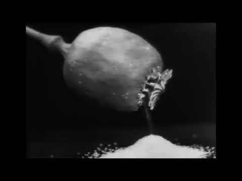 Jeff Myers - Overdose (Official Music Video)