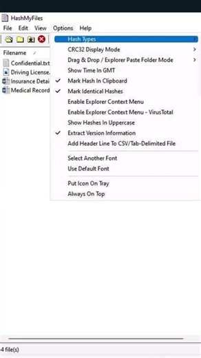 MD5 Hashes in Seconds – Using HashMyFiles for File Integrity #cybersecurity