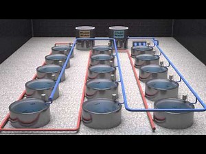 How Seafood is Farmed: Tanks