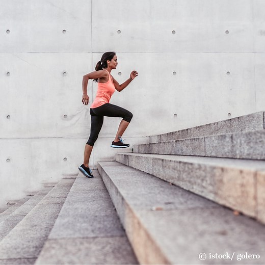Wie funktioniert der Bewegungsapparat?