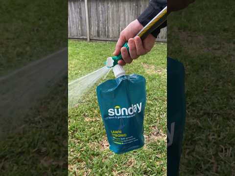 Grow a greener, better lawn with Sunday! (20% off!)