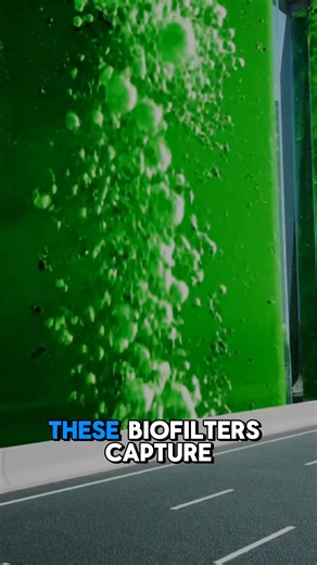 Singapore is turning its highway corridors into active environmental assets through the deployment of vertical algae panels designed for high-density urban carbon capture. This initiative addresses localized air pollution while creating a sustainable loop for green energy and agriculture. Biological Carbon Sequestration: These panels utilize microalgae like Chlorella, which are highly efficient photosynthetic organisms capable of capturing CO 2 at rates far superior to land plants. By positionin