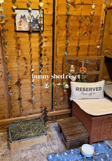 Bunny Shed Reset: Enhancing Your Rabbit's Habitat