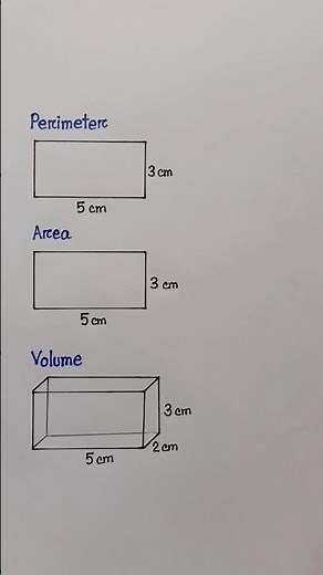 Perimeter Area and Volume #geometry #rectangle #basicmath
