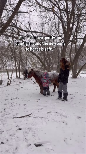 Or yeet yourself off a tree & scare him into another dimension. 🪾🐎💨 Stay tuned for silly stories from around my flower farm! | Nixon Farm