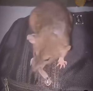 Village people 🥺 reason why you should pray | Big Destiny