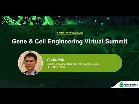 Discovering the Next Generation AAV Vector- Capsid Engineering & Expression Cassette Optimization