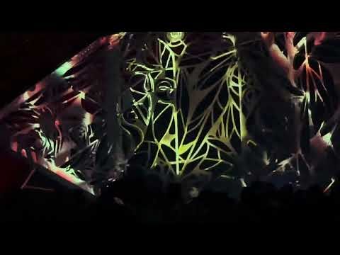 dan andrei // sw35 + 2