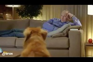 413K views · 13K shares | THIS DOG KNOWS HOW TO GET HIS OWNER OUT OF THE COUCH.... | Best animal videos | Facebook