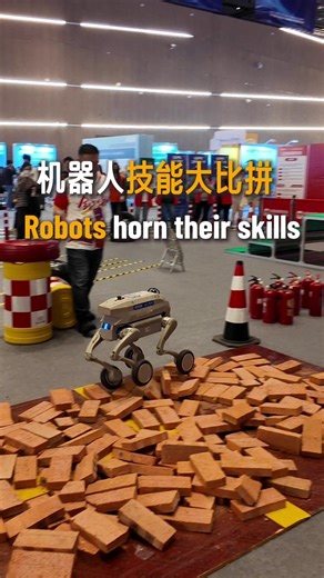 The Global Developer Pioneers Summit 2025 and the International Embodied Intelligence Competition opened in #Shanghai on December 13. This competition is a full-scenario demonstration of embodied intelligence including industrial production to social services, home assistants, emergency rescue, medical care and artistic performance. It features six major thematic tracks and eight scenario-based challenges, covering 19 specialized sub-events. These virtually encompass every possible scenario of #