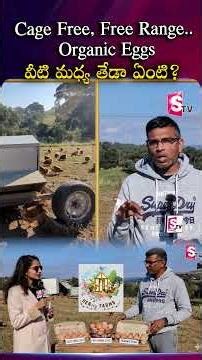 Caged & Cage-Free vs Free-Range vs Organic Eggs | Which Eggs Are Really Healthy? NRI Farmer Explains