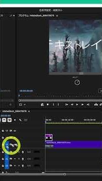 VR 平面として投影【Premiere】