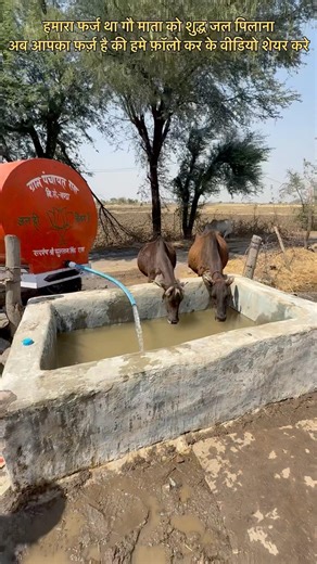 Cleaning a water tenk for animals #cleaning #watertank #cow