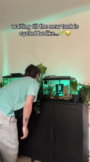 Cycling Your Aquarium: Patience Pays Off
