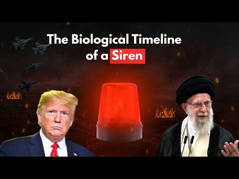 The Biological Timeline of a Siren: How They Hunt and Survive