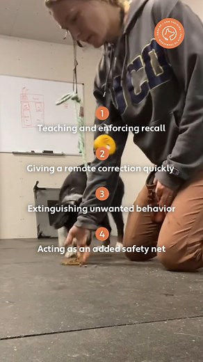 Here is one of our trainers, Heather, introducing Cody to an e-collar. E-collars are an extremely effective training tool when used properly and responsibly under the guidance of a balanced dog trainer. In fact, an e-collar can do more to keep your dog safe than almost any other tool out there. Unfortunately, there is a lot about e-collars that is misunderstood or misrepresented. That’s why we created our guide to e-collars and dog training: so you can get all the information you need, in one pl