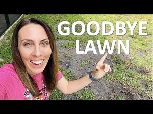 Creating a Frog Fruit Lawn?!? My Conversion Experiment Begins!