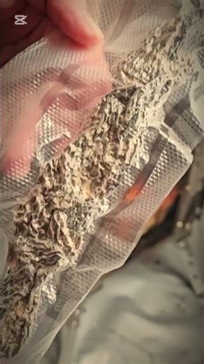 How to make a fire in tent #bushcraft #campping #survival #how #shorts #foryou #viral #outdoors