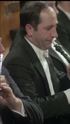Schumann - Symphony No. 2 (Mvmnt. 3 Excerpt) | Leonard Bernstein - Vienna Philharmonic