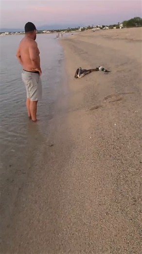 Day 6 of adventure, we continued on the journey down the low, waking up at La Ventana and walking along the beach we encountered pelican who had hooked with a hook and we couldn't leave it alone and went to its rescue, here's the story.
