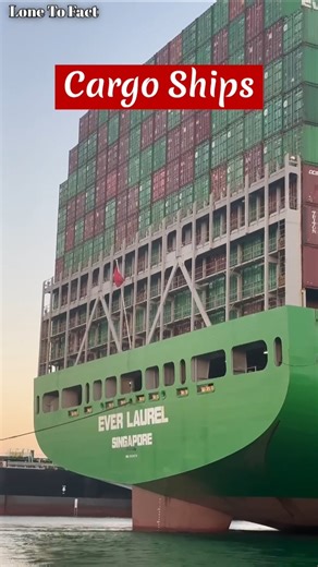 What Happens If a Container Falls Into The Sea? #shorts #ship #ytshorts #loose