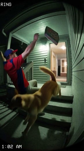 A pizza delivery goes worng!