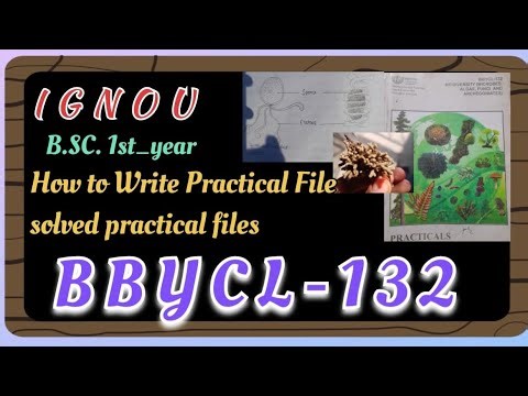 BBYCL-132 practical file || how to write ignou bscg practical files full guides || IGNOU 📖 B.SC.