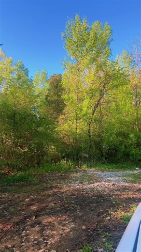 Spring Turkey Hunting Tips for Beginners