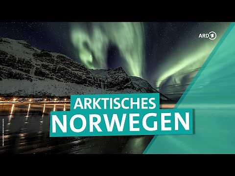 Arktisches Norwegen: Nördlicher Polarkreis mit Polarlichtern und Orca-Schnorcheln | ARD Reisen
