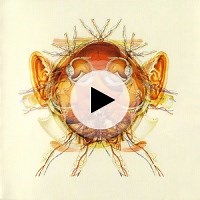 101 Infoburner by Senser