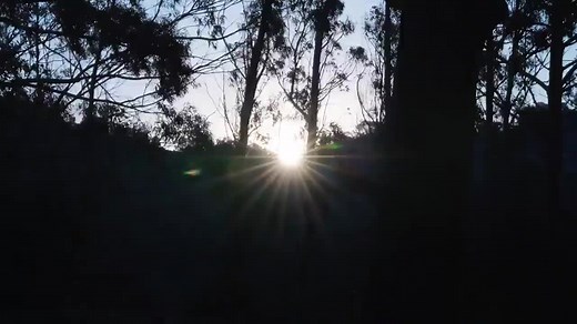 1.6K views · 154 reactions | This Ramadan, read "The Koran Interpreted" with Shaykh Hamza Yusuf. Today at 5:30 PM PDT, join a public live session with Shaykh Hamza Yusuf on A.J. Arberry’s translation of the Holy Qur'an. This translation has been praised for its use of language, which remains striking and accessible even decades later: Session 1: https://youtu.be/KmW4xC1nEhI | Hamza Yusuf | Facebook