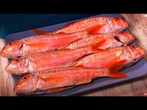 ▶️ RECETTE de POISSON au FOUR [ ROUGET BARBET POISSON ] / RED MULLET fish 🇬🇧🇪🇸🇵🇹