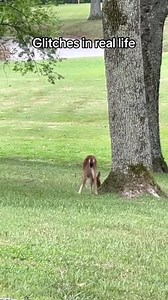Glitches in real life! This seriously has me creeped out!!! #glitch #matrix #creepy #scary #wtf | Hangin With Haley