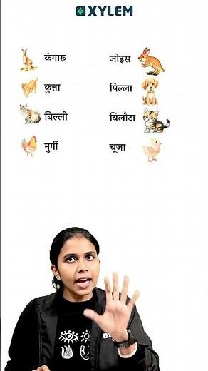 IMPORTANT QUESTION FOR EXAM !! | Xylem Class 6