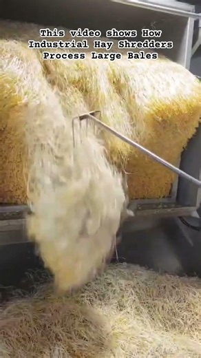 Efficient Hay Shredding for Livestock Feed#FarmLife #Satisfying #AgriculturalMachinery #HayShredding