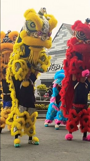 atraksi barongsai di jogja city Mall!!