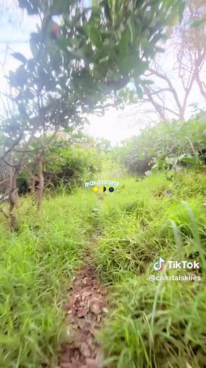 mako island anyone? 🌕🍀🐚 #mako #h2o #pretty #beach #island #moon #sunset
