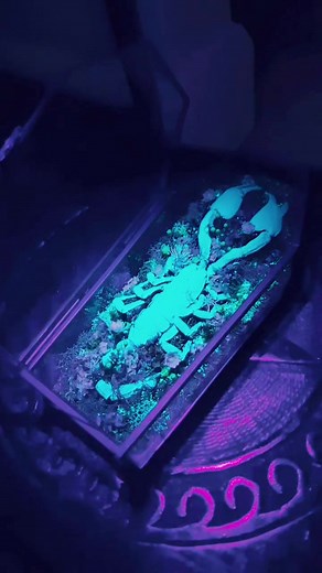 Scorpiones: Brillando en Luz Ultravioleta