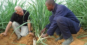 About Us - Netafim Africa