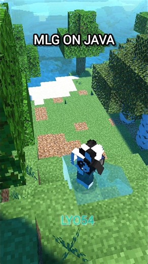 Bedrock MLG vs Java MLG 💀